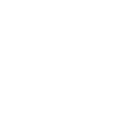 Briddge logo